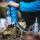 Katadyn Hiker Pro Wasserfilter mit 0,2 Mikron Glasfasern und Aktivkohle