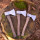 Geschmiedetes Outdoor Beil mit Hickory Stiel: 600 g, 800 g oder 1.000 g