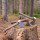 Geschmiedetes Outdoor Beil mit Hickory Stiel: 600 g, 800 g oder 1.000 g