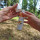 Pharmavoyage Biovectrol Tissu Anti-Insektenspray für Gewebe