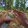 Pharmavoyage Biovectrol Eucalyptus pflanzliches Anti-Mücken-Spray