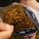 Trekn Eat PS1000+ Nudeln in Rahmchampignon und Rindfleisch