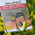 Bee-Patch Pflaster gegen Insektengift durch Bienen- und Wespenstiche