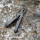 Leatherman® Wave®+ Multi-Tool in Schwarz mit Nylon-Holster