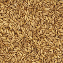 Convar Bio Hafer 7,5 kg Getreide Speicher Eimer vakuumverpackt, 10 Jahre haltbar