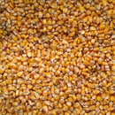 Convar Bio Mais 7,5 kg Getreide Speicher Eimer vakuumverpackt, 10 Jahre haltbar