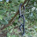 Wildo&reg; 3-tlg. Karabiner Set in Schwarz, Oliv oder Desert