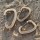 Wildo® 3-tlg. Karabiner Set in Desert