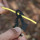 Roxon Multi-Tool 8-in-1 Schlüsselanhänger Skorpion, schwarz