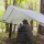 Grand Trunk MOAB All-In-One Shelter Hammock - Tarp und Hängematte in Grün oder Blau