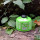 Optimus Gaskartusche mit 100 g, 230 g oder 450 g (Ventilkartusche)