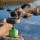 Optimus Terra Kettle Wasserkessel 0,7 l